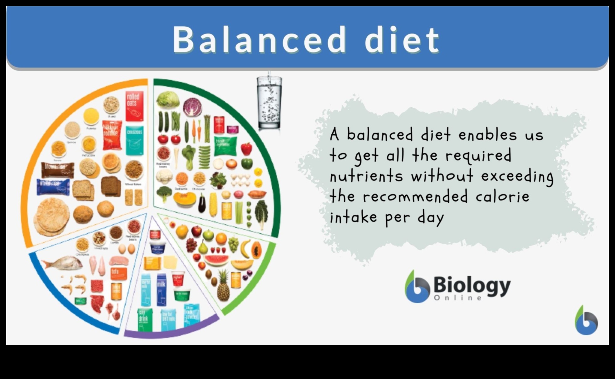 יצירת תוכנית תזונה מאוזנת מושלמת