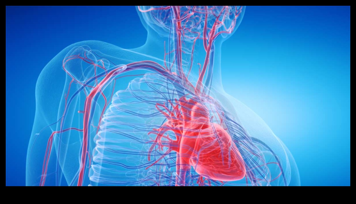 תהודה של פעימות לב: ההד של כושר קרדיווסקולרי