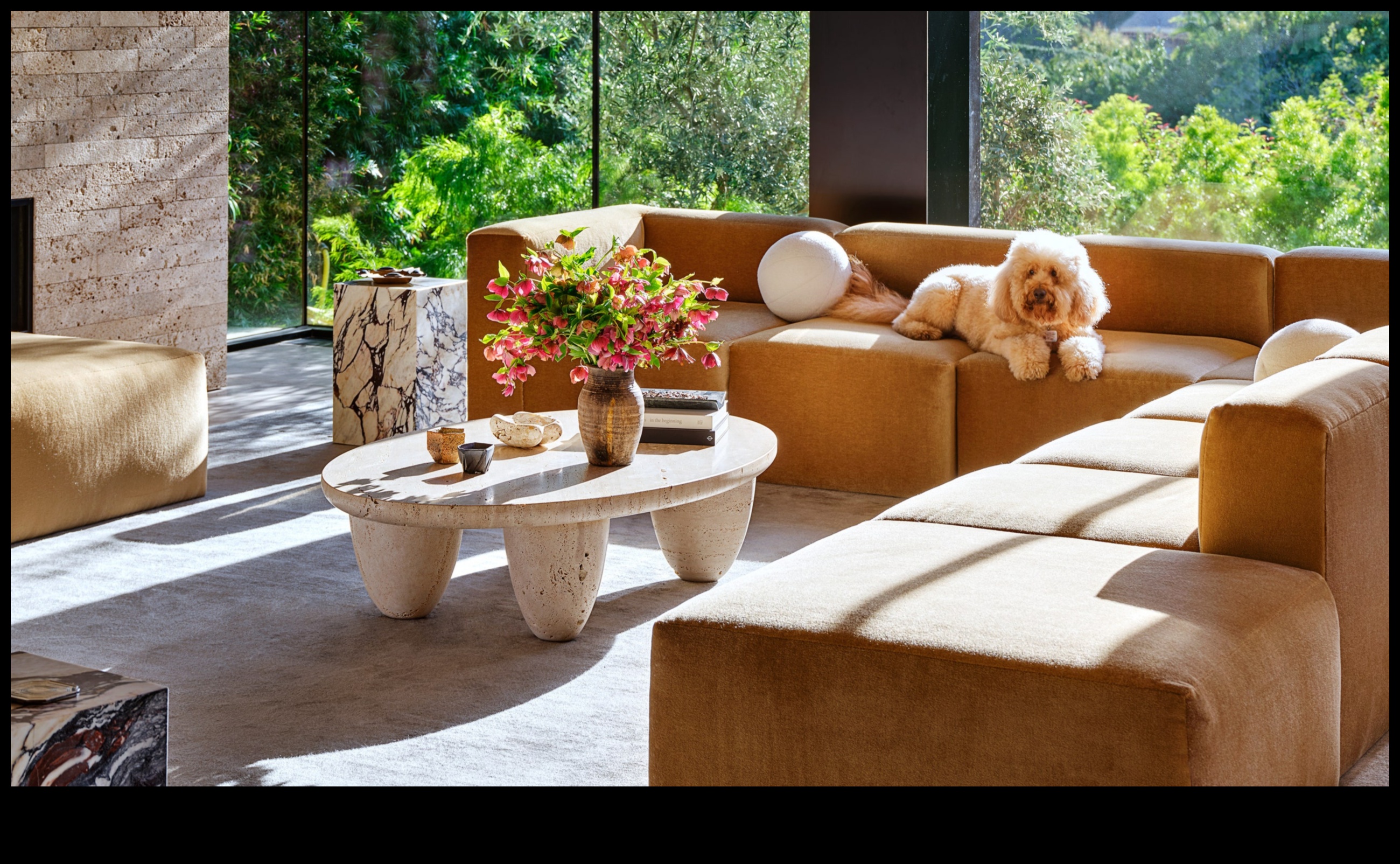 רעיונות לעיצוב הבית מסוגננים ידידותיים לחיות מחמד