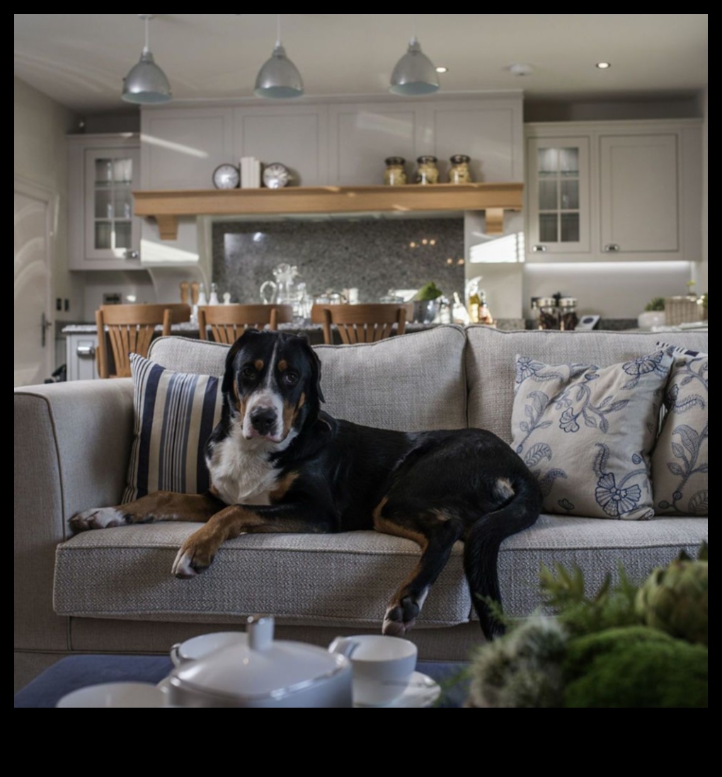 רעיונות לעיצוב הבית מסוגננים ידידותיים לחיות מחמד