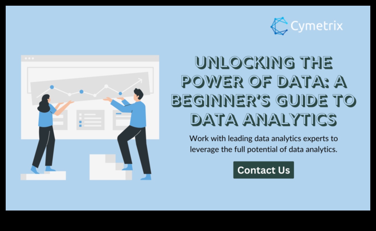 יצירת הצלחה בנתונים: המדריך לאלכימאי לעסקים