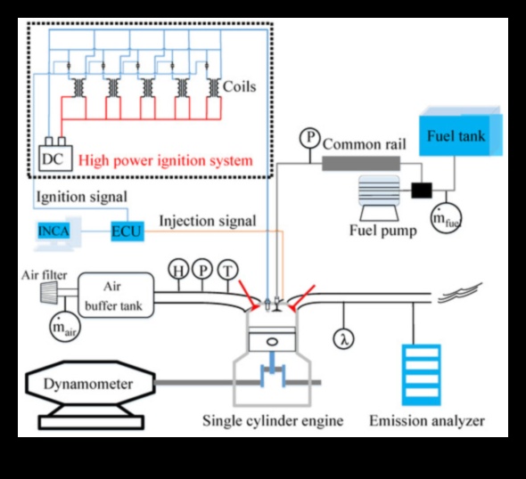 הצתת פגיעה: הניע את האימון שלך עם תנועות עתירות אנרגיה