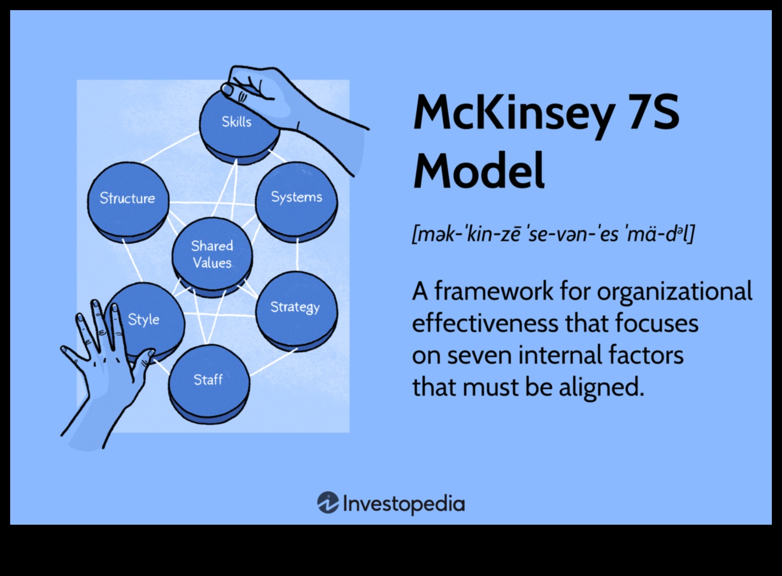לרכוב על הגל העסקי: אסטרטגיות להצלחה בדוגמנות