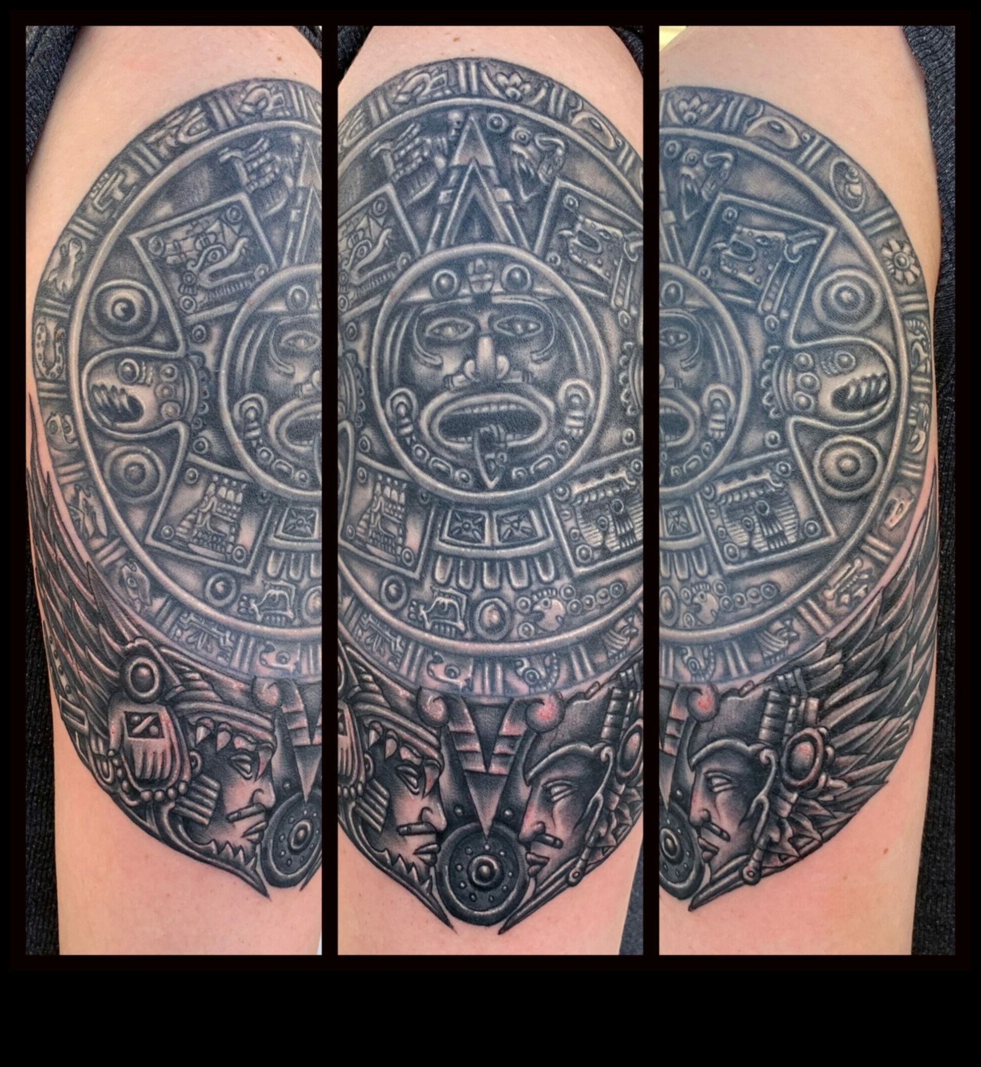 היסטוריות מסומנות: התחקות אחר השטיח התרבותי שנארג על ידי קעקועים