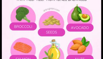 דיאטות דלות שומן ואיזון הורמונלי: מבט מקרוב