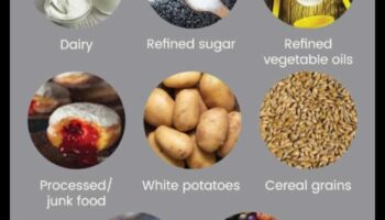 הקשר בין פליאו לרגישויות למזון