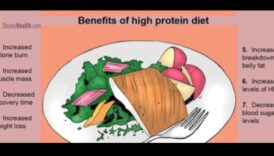 דיאטות דלות שומן ורווחה רגשית: גישה הוליסטית