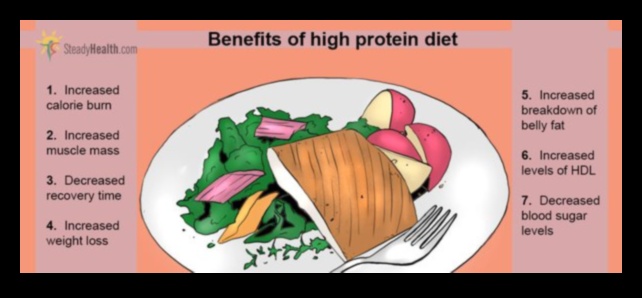 דיאטות דלות שומן ורווחה רגשית: גישה הוליסטית