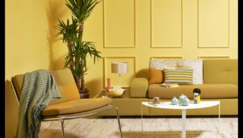 ההשפעה של עיצוב הבית על מצב הרוח והרווחה