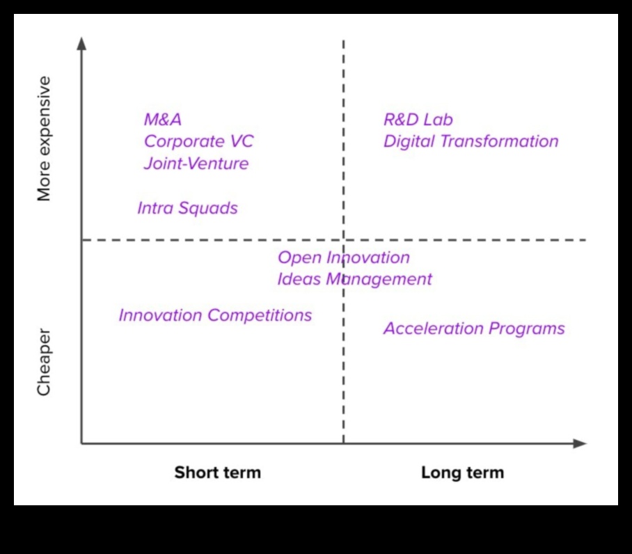 מעבר לגבולות המסורתיים: חידושים באבולוציה עסקית