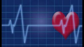 תהודה של פעימות לב: ההד של כושר קרדיווסקולרי