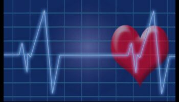 תהודה של פעימות לב: ההד של כושר קרדיווסקולרי