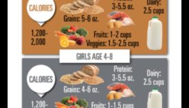 תזונה מתאימה לגיל: דיאטות איזון לילדים, בני נוער ומבוגרים