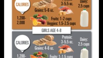 תזונה מתאימה לגיל: דיאטות איזון לילדים, בני נוער ומבוגרים